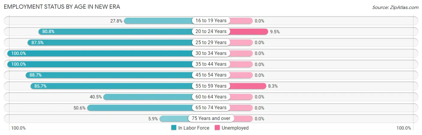 Employment Status by Age in New Era