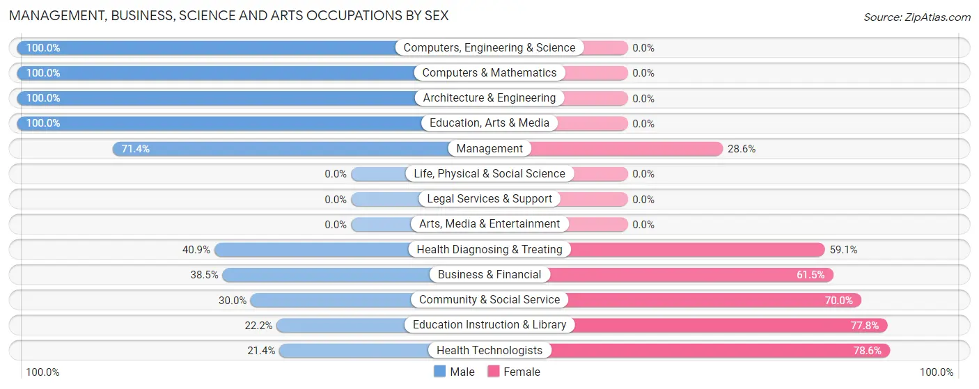 Management, Business, Science and Arts Occupations by Sex in New Lothrop