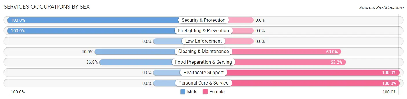 Services Occupations by Sex in New Lothrop