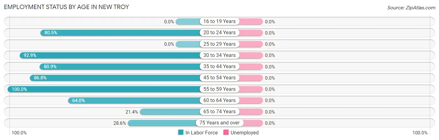 Employment Status by Age in New Troy
