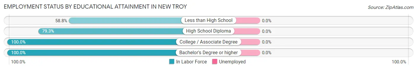 Employment Status by Educational Attainment in New Troy