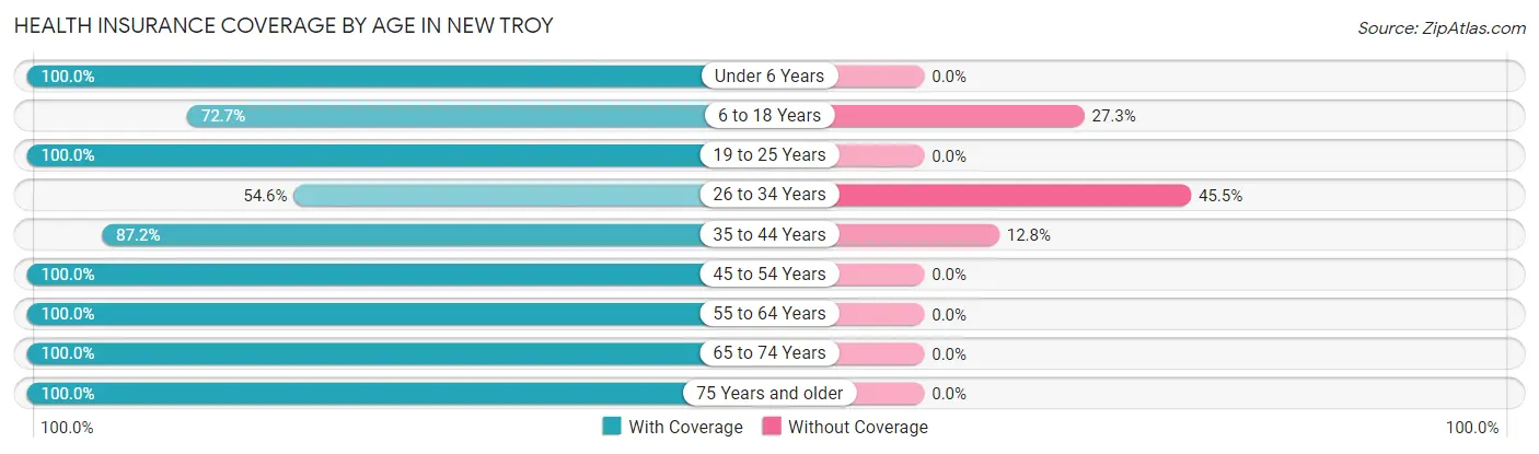 Health Insurance Coverage by Age in New Troy