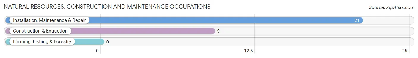 Natural Resources, Construction and Maintenance Occupations in New Troy