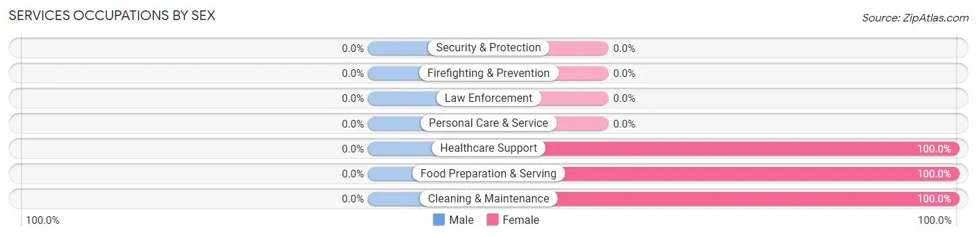 Services Occupations by Sex in New Troy