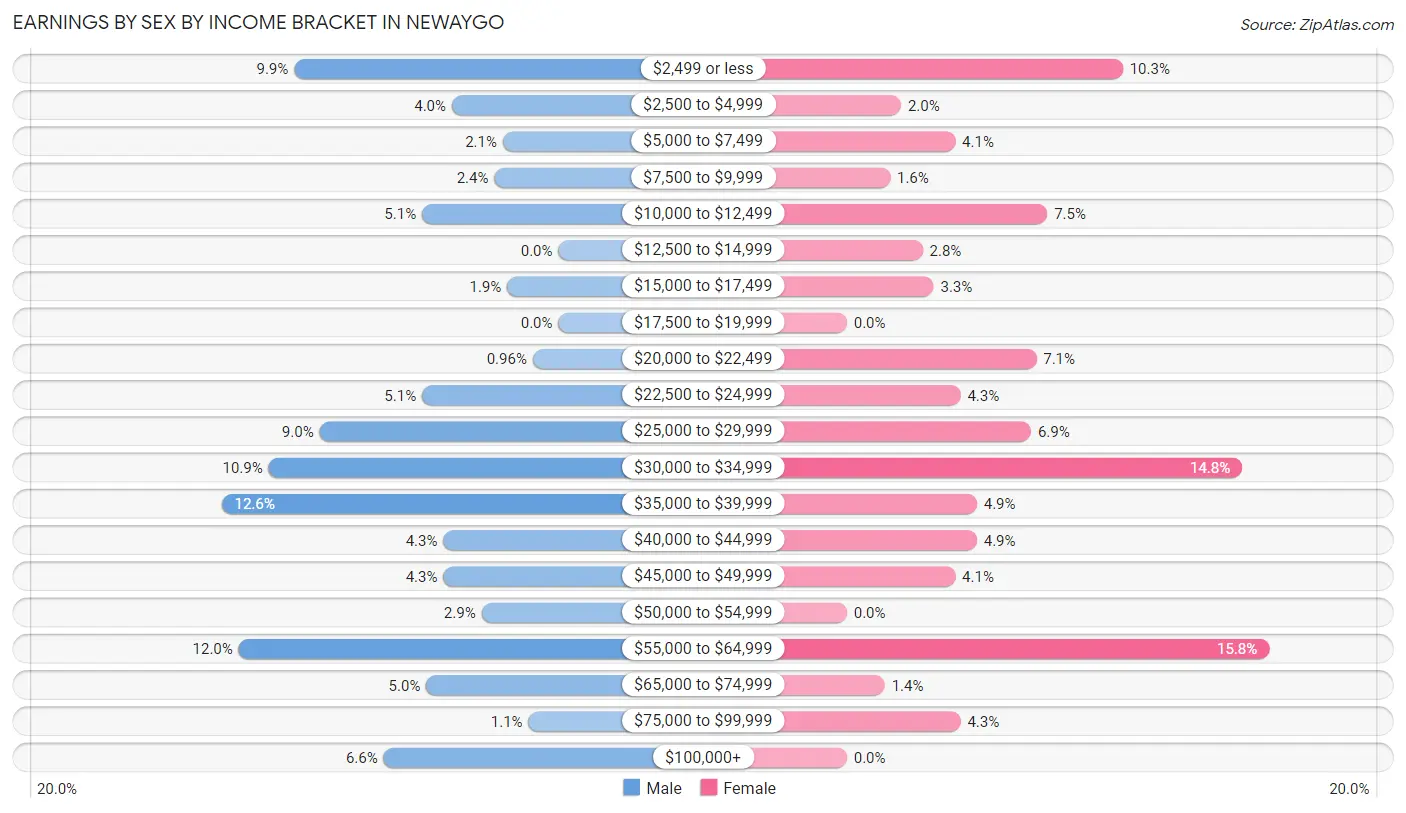 Earnings by Sex by Income Bracket in Newaygo