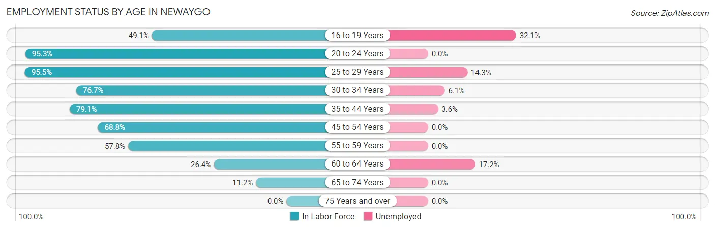 Employment Status by Age in Newaygo