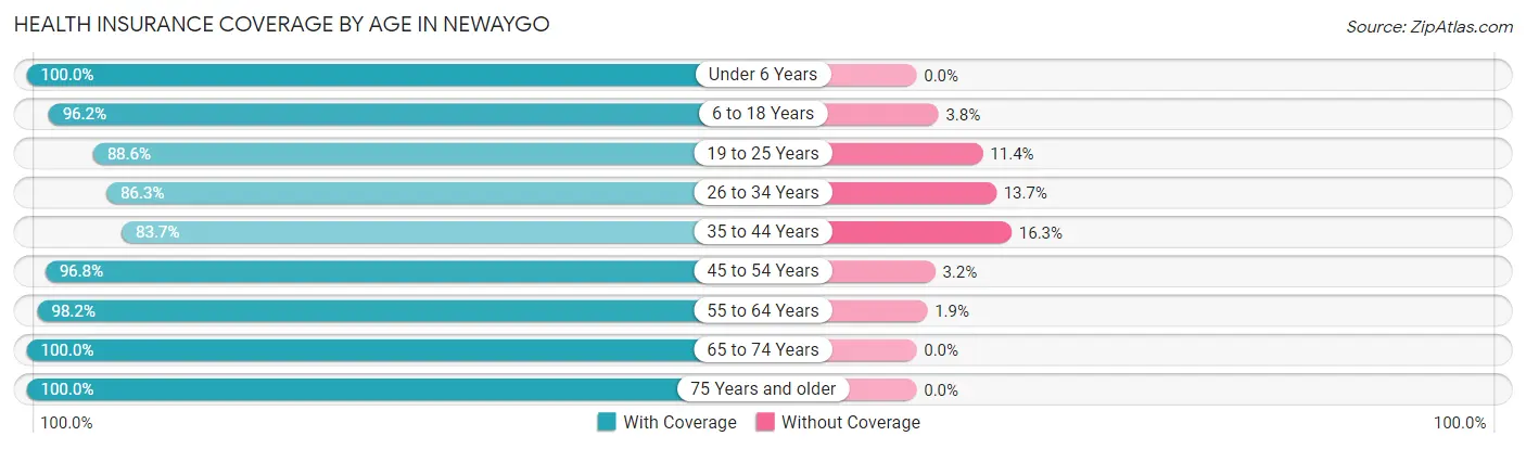 Health Insurance Coverage by Age in Newaygo