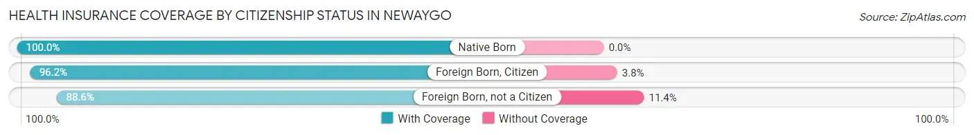 Health Insurance Coverage by Citizenship Status in Newaygo