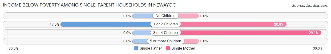 Income Below Poverty Among Single-Parent Households in Newaygo