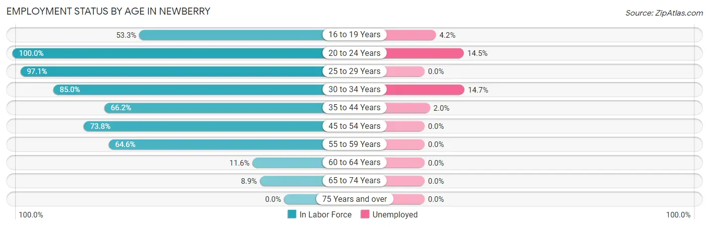 Employment Status by Age in Newberry