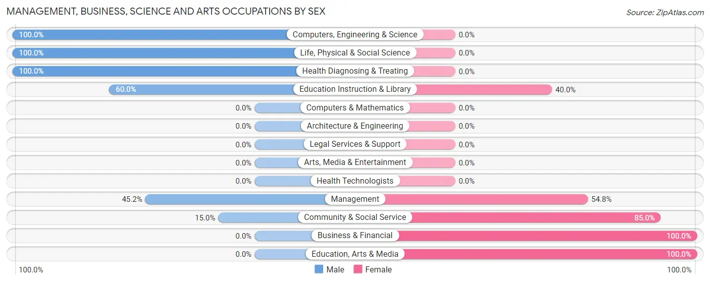 Management, Business, Science and Arts Occupations by Sex in North Branch