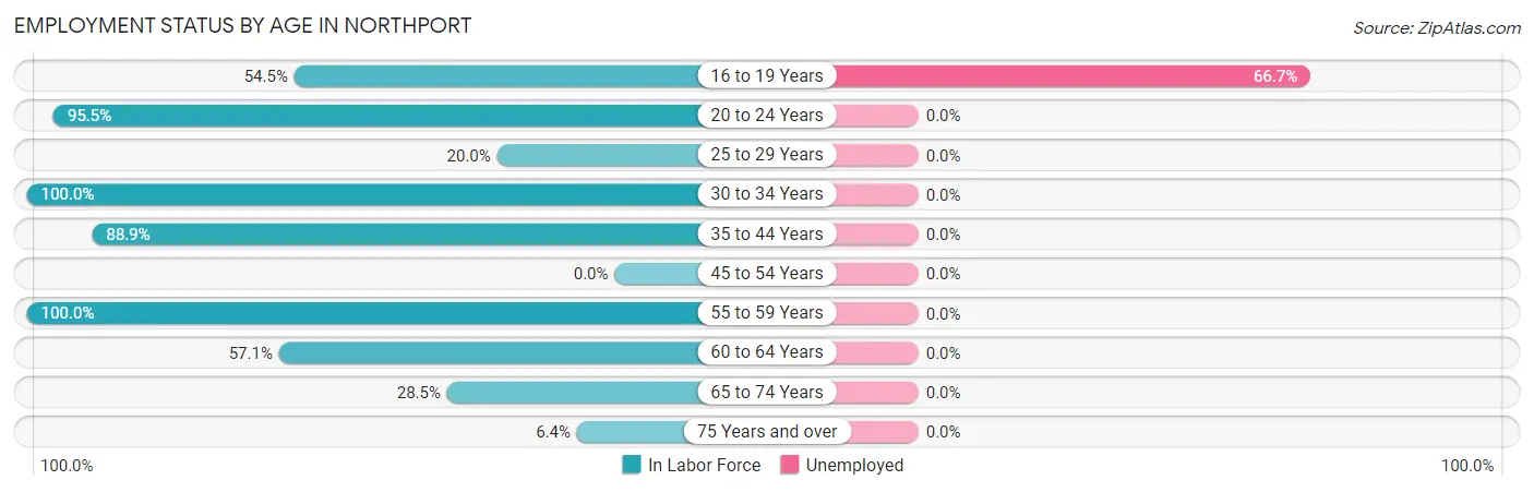 Employment Status by Age in Northport
