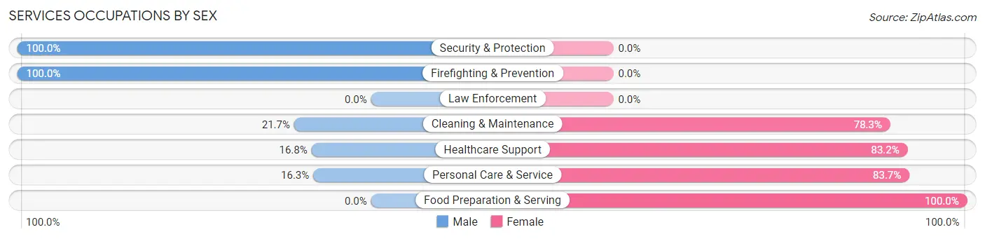 Services Occupations by Sex in Northville