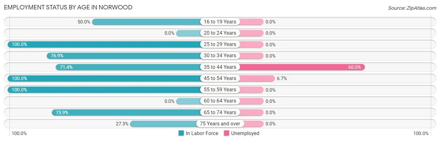 Employment Status by Age in Norwood