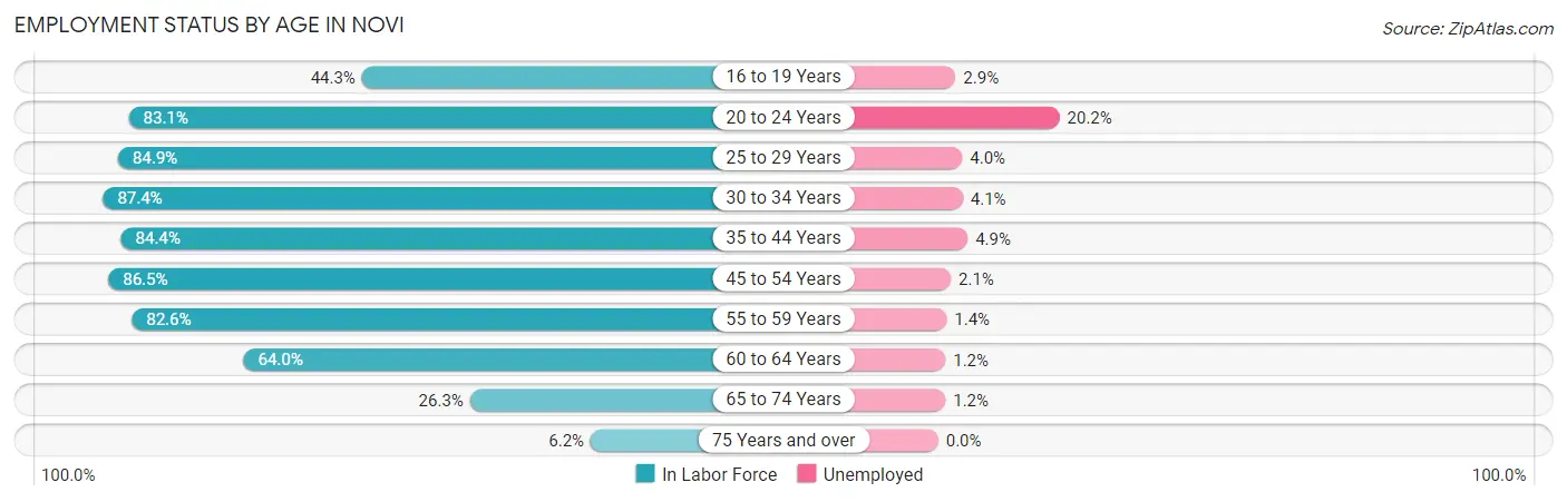 Employment Status by Age in Novi