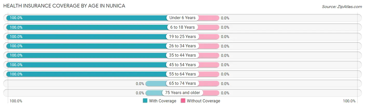 Health Insurance Coverage by Age in Nunica