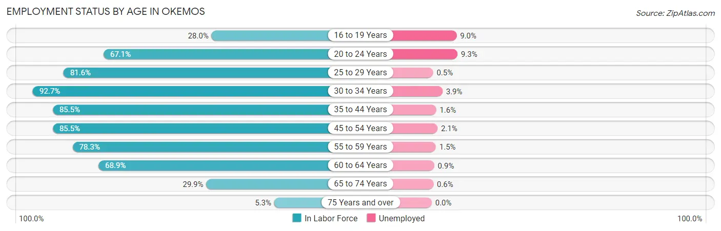 Employment Status by Age in Okemos