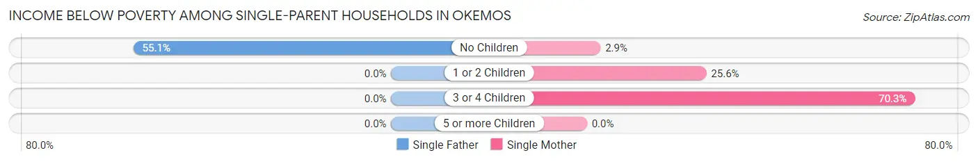 Income Below Poverty Among Single-Parent Households in Okemos