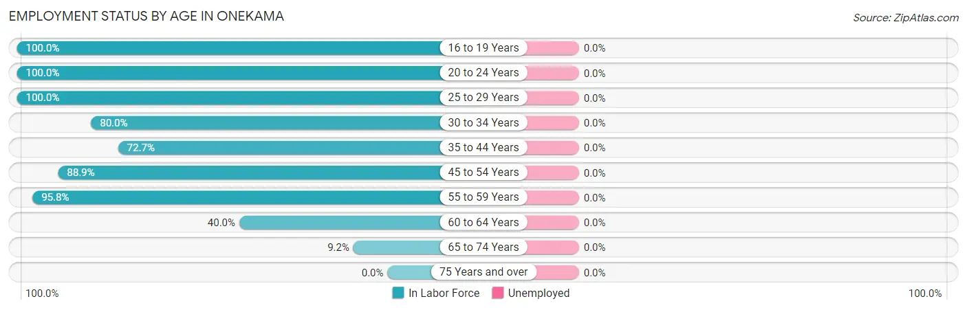 Employment Status by Age in Onekama