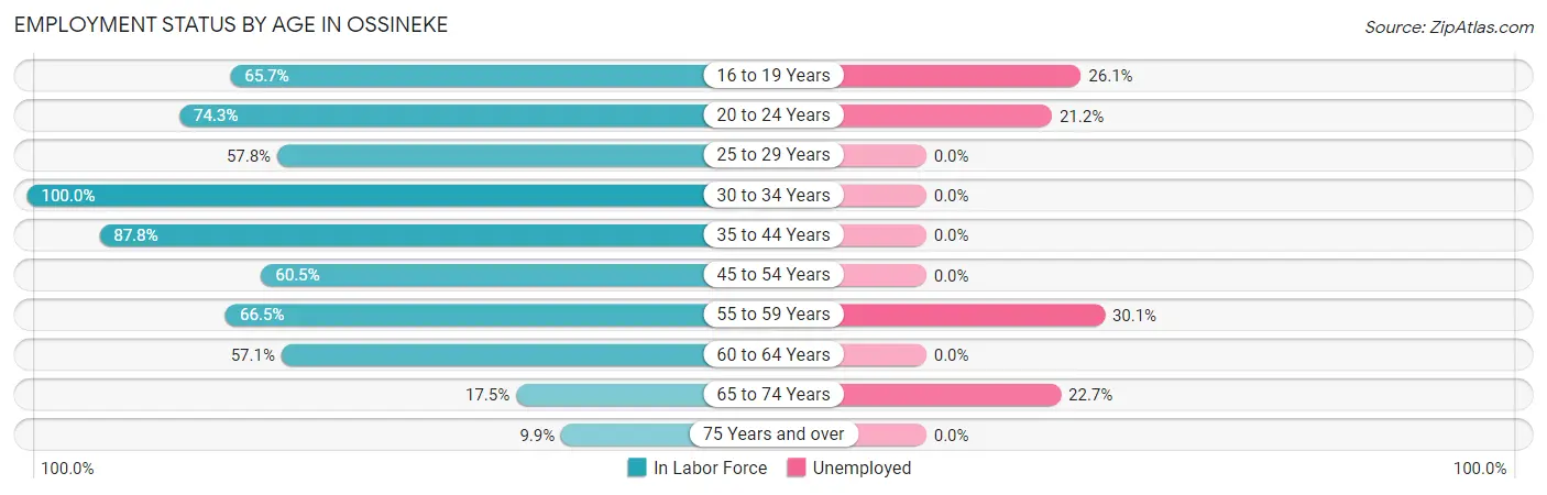 Employment Status by Age in Ossineke