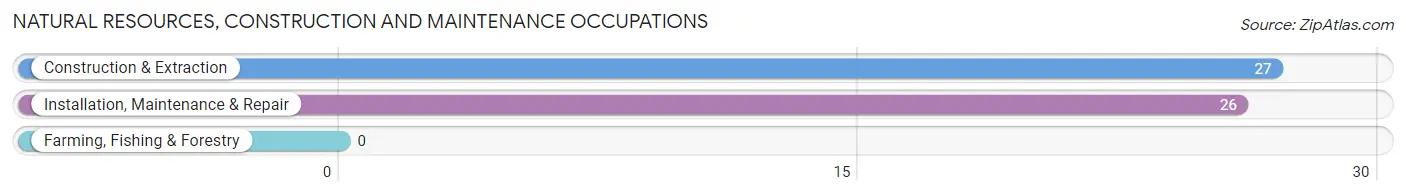 Natural Resources, Construction and Maintenance Occupations in Ossineke