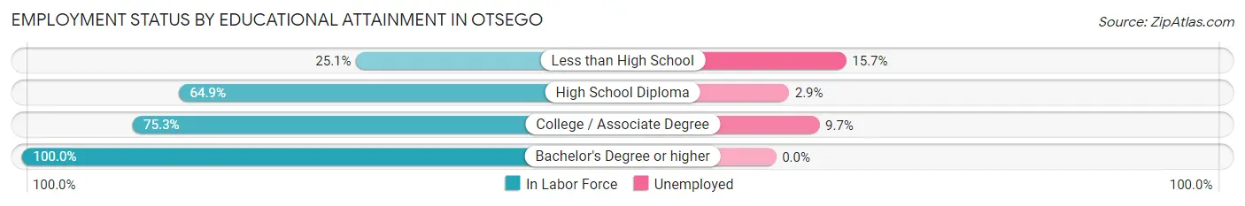 Employment Status by Educational Attainment in Otsego