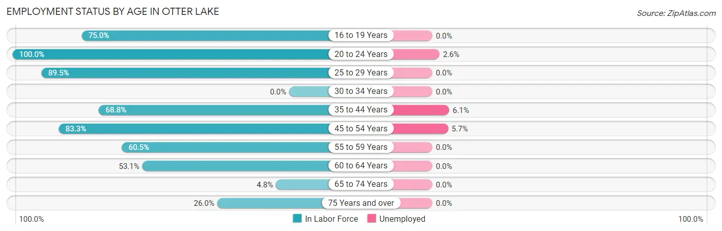 Employment Status by Age in Otter Lake