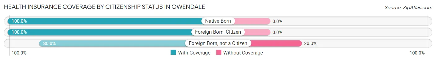 Health Insurance Coverage by Citizenship Status in Owendale