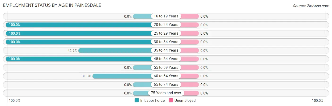 Employment Status by Age in Painesdale
