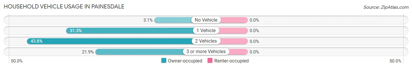 Household Vehicle Usage in Painesdale