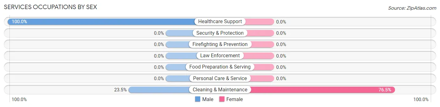 Services Occupations by Sex in Painesdale