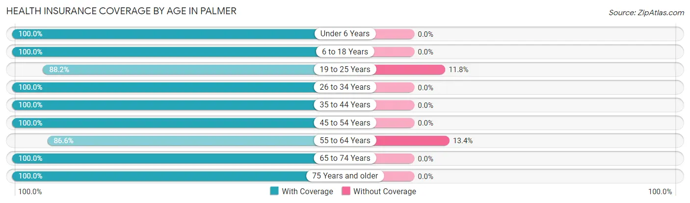 Health Insurance Coverage by Age in Palmer