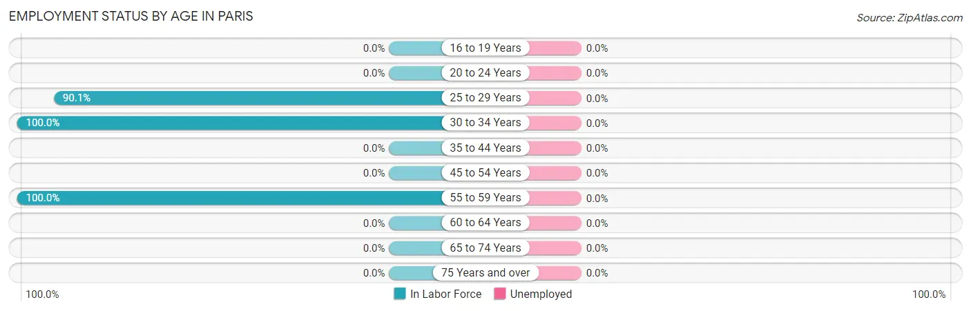 Employment Status by Age in Paris