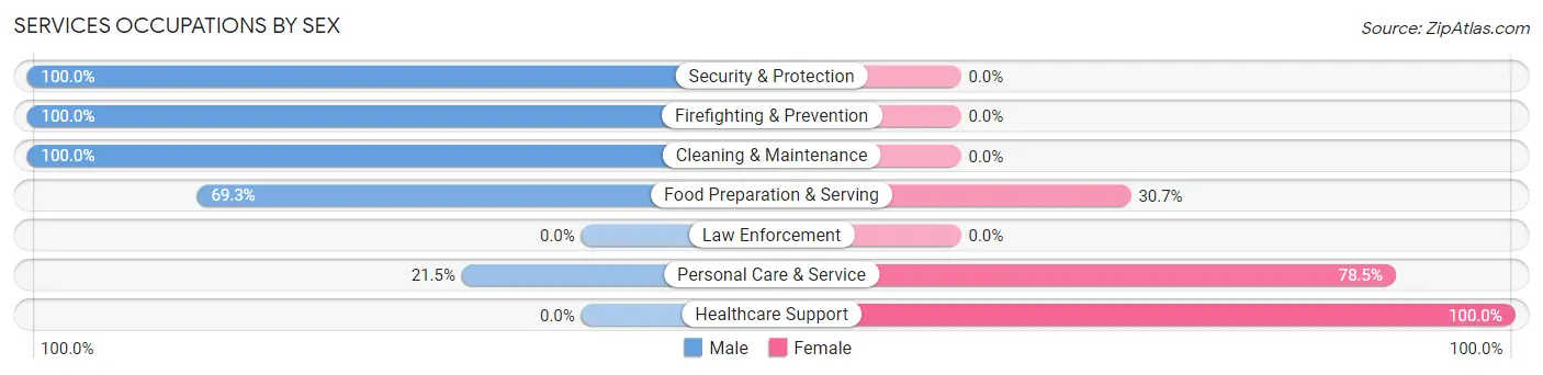 Services Occupations by Sex in Paw Paw