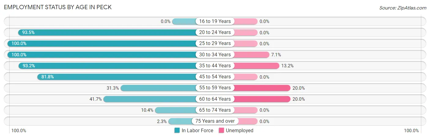 Employment Status by Age in Peck
