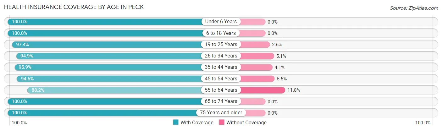Health Insurance Coverage by Age in Peck