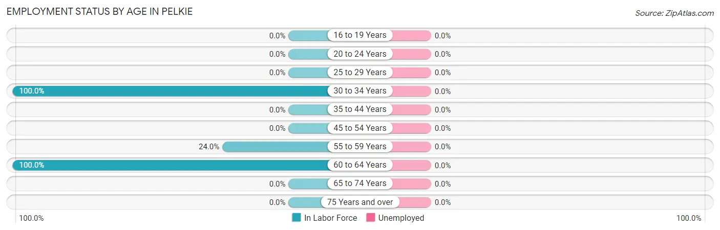 Employment Status by Age in Pelkie