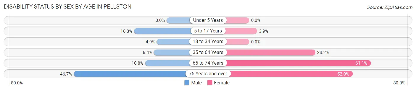 Disability Status by Sex by Age in Pellston
