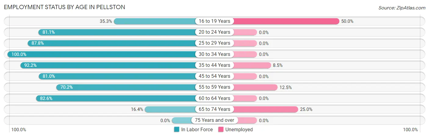 Employment Status by Age in Pellston