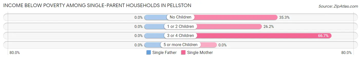 Income Below Poverty Among Single-Parent Households in Pellston