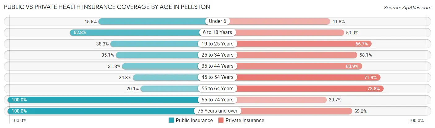 Public vs Private Health Insurance Coverage by Age in Pellston