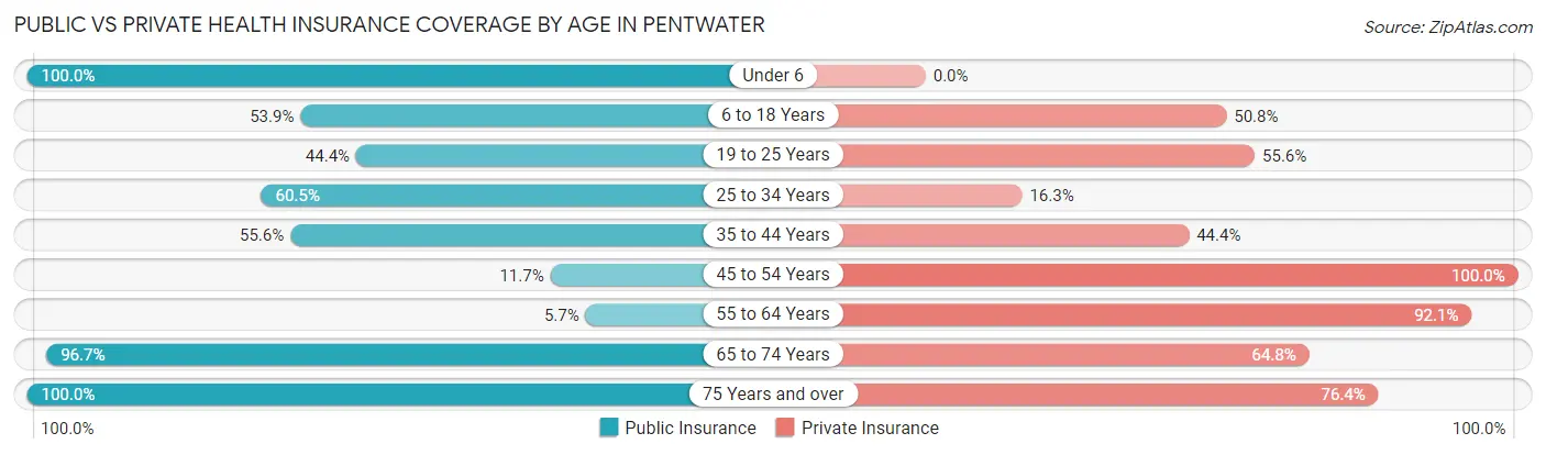 Public vs Private Health Insurance Coverage by Age in Pentwater