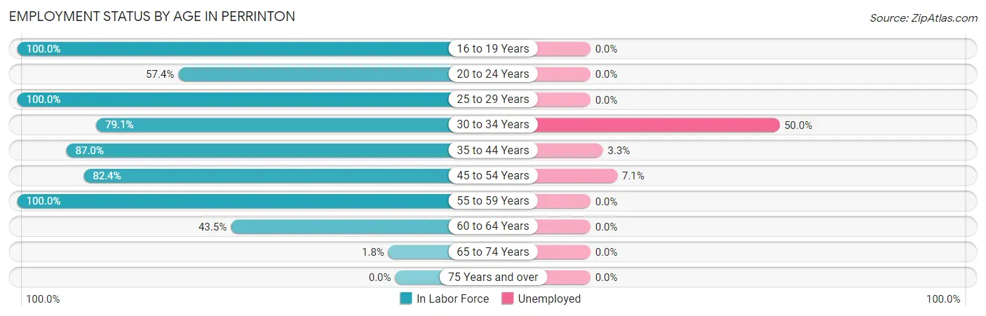 Employment Status by Age in Perrinton
