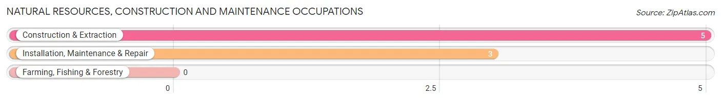 Natural Resources, Construction and Maintenance Occupations in Pierson