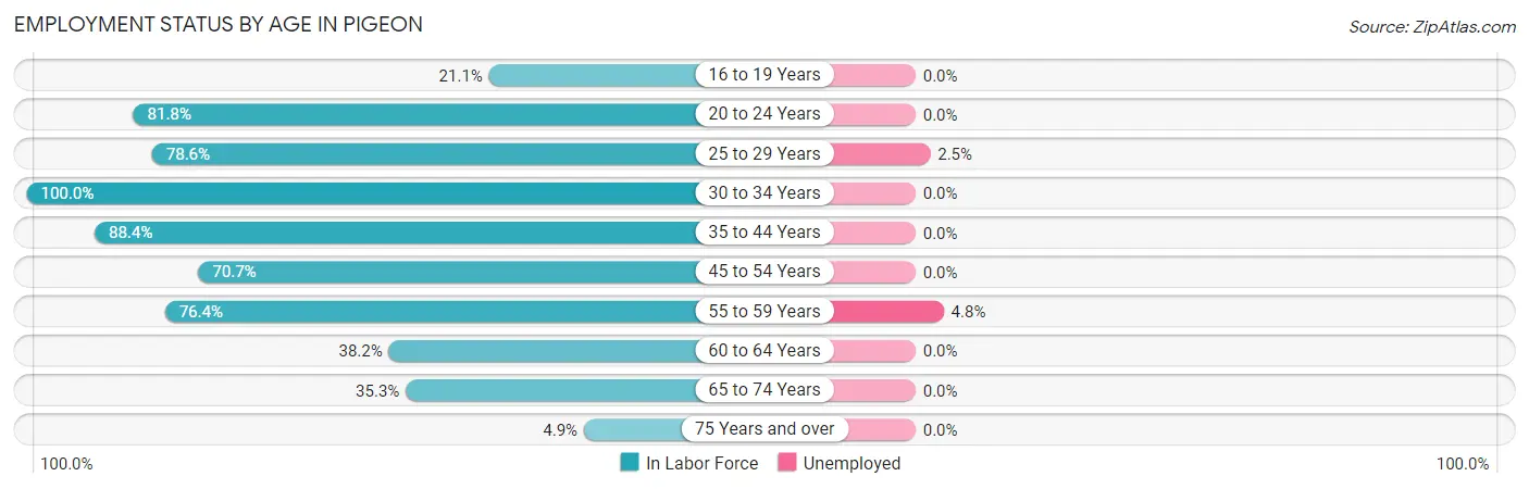 Employment Status by Age in Pigeon