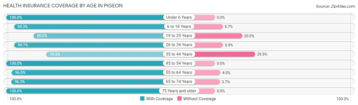 Health Insurance Coverage by Age in Pigeon