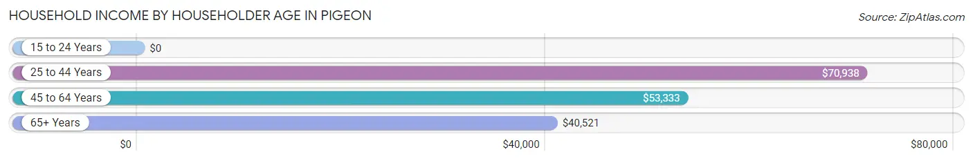 Household Income by Householder Age in Pigeon