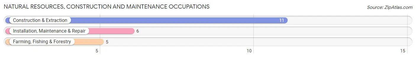 Natural Resources, Construction and Maintenance Occupations in Pigeon