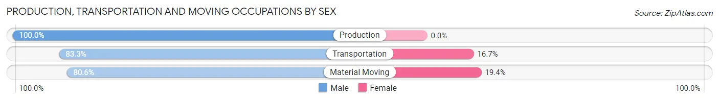 Production, Transportation and Moving Occupations by Sex in Pigeon