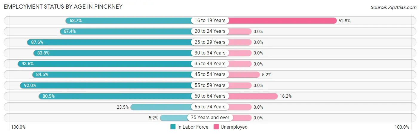 Employment Status by Age in Pinckney